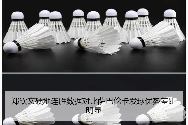 郑钦文硬地连胜数据对比萨巴伦卡发球优势差距明显