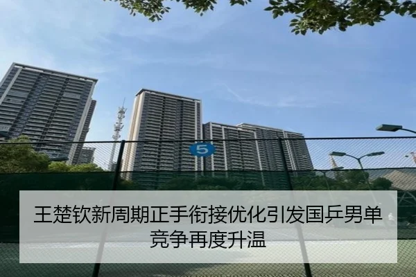 王楚钦新周期正手衔接优化引发国乒男单竞争再度升温